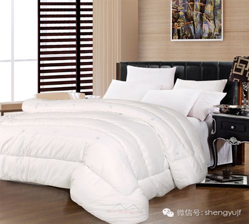 盛宇家紡秋冬新品“被你所愛”被芯系列