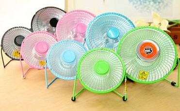 紫羅蘭歲末特賣狂歡“惠”,說好的不見不散!