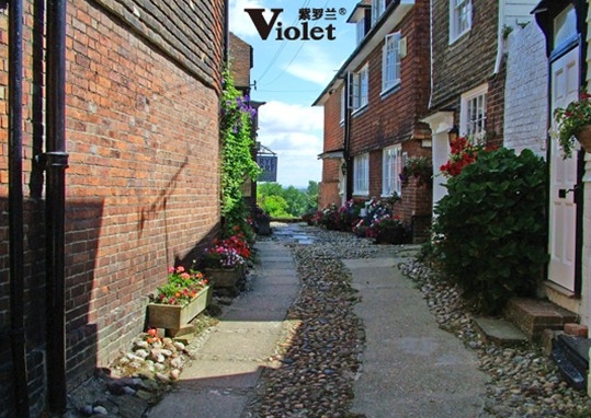 紫羅蘭法蘭絨系列:來自歐洲的保暖體驗(yàn)