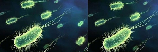 紫羅蘭家紡:凈入睡眠,可以睡的益生菌