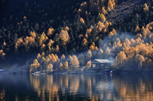 紫羅蘭生機家紡,還原巴馬原生態(tài)平衡環(huán)境