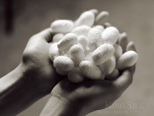 �vʹ�q������  �X���ʐ�����������D