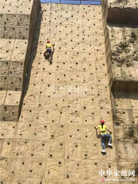 聚勢杭州灣,謀劃金三角