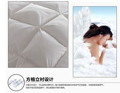 被+溫暖,“芯”生歡喜——紫羅蘭健康睡眠美學(xué)