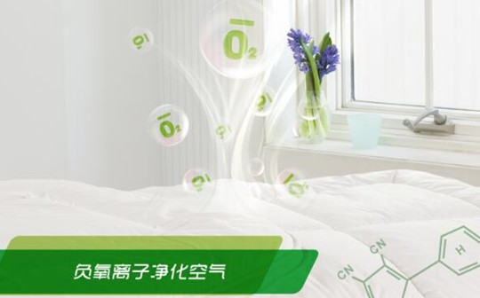 紫羅蘭生機立體枕:從此高枕無憂,因為我睡了它