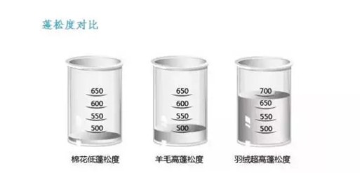 ���t���Ҽ���о��(ji��)�����m�����һ�l��q���_ʼ