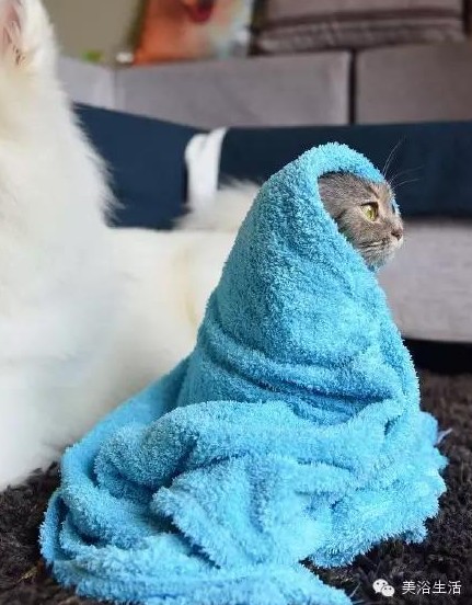 美浴生活:毛巾可以將就,毛巾也可以講究!