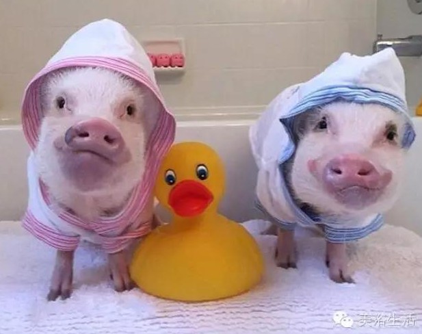 ��ԡ���һ�l��ԡ�����͎��o�㲻�Զ������Ҹ���