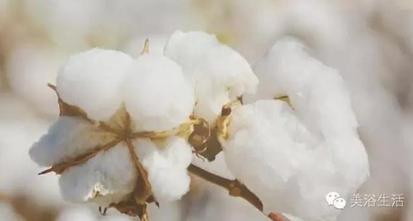 ��ԡ���Փһ�lë�����������B��