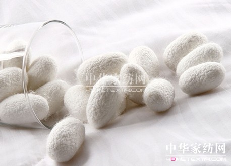 蠶絲蛋白——寶縵科技生態美容領域的顛覆與革命