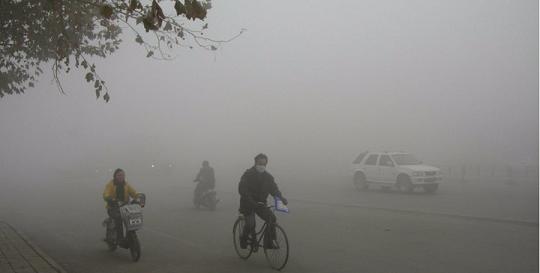 PM2.5爆表的時代紫羅蘭家紡生機(jī)科技讓你在森林里入眠