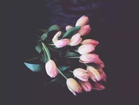 博洋家紡郁秀芳庭:讓高雅從容綻放