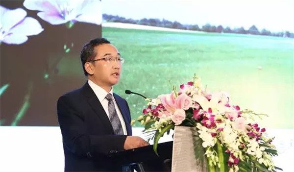 �����׃��������������δ����2017�Ї����������Ϻ����_