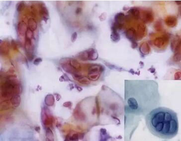 ���ϴ���ӣ��������ךW���M�ھ�ϴ�O���ꑌ�������Ҽ�