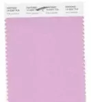 ����؛����۱�ɫ2018����ɫ�l��