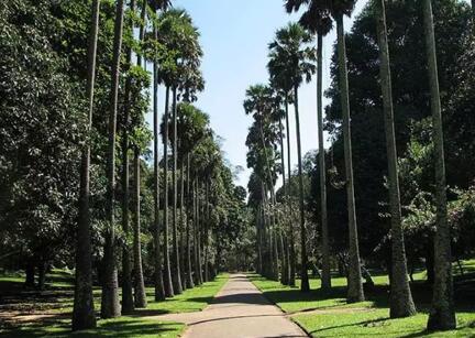 �����ͯ������Ȼ���z��׌˯�߻ؚw���|