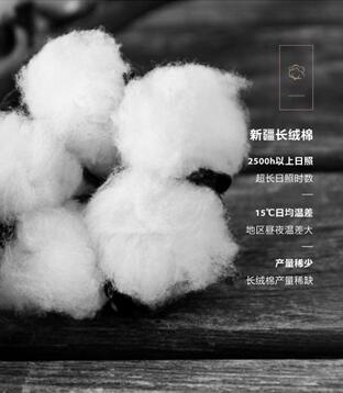 博洋家紡2018秋冬新品——“海德”系列全面上市