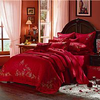 ���ҼҼ�JX283���Ӷร�aƷ�DƬչʾ