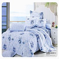 �L�ŵ���(�m)Y-001�{