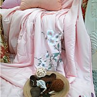 �����w�P