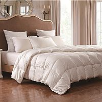 ����˹�Z�Z�q��