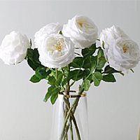 �aƷ_0000s_0003_��Ʒ�|��