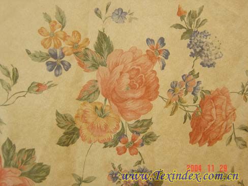 ��Ƥ�q ӡ��