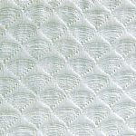 ɫ������