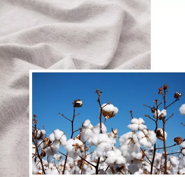 COMOLIVING�Ƴ��~������˯���������ߵ�����ęn