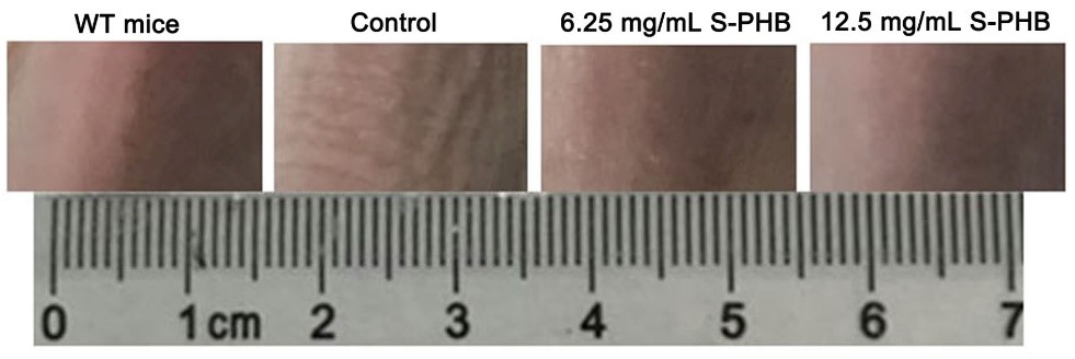 ������V�V��������Ʒ���о����lչڅ��